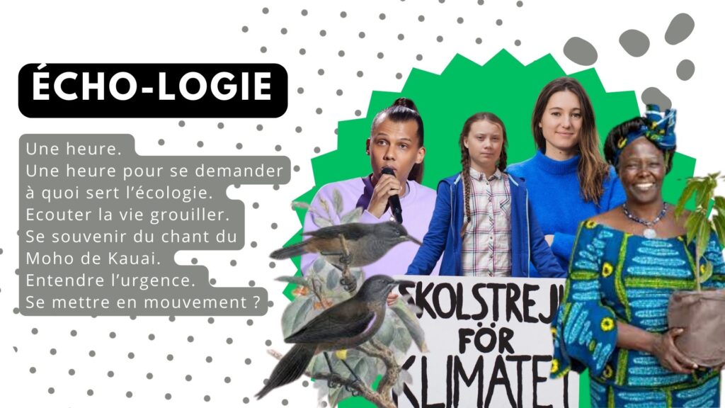 Écho-logie écologie écoute sonore Bergerac Souffler sur les Braises