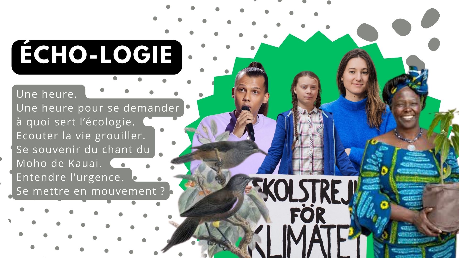 Écho-logie écologie écoute sonore Bergerac Souffler sur les Braises