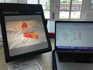 Kodachromix son et lumière de poche spectacle petite enfance parcours découverte son musique électroacoustique Bergerac Dordogne Périgord Alexandrine Bourgoin